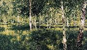 Birch Forest